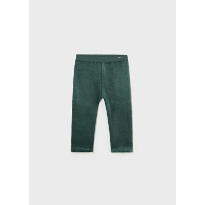 Basic velvet leggings - GREEN 12M